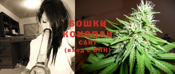 соль ск Бронницы
