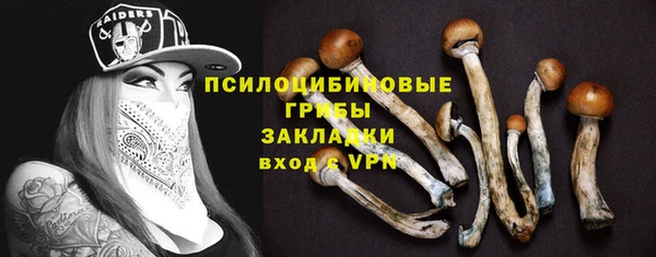 jwh Бородино