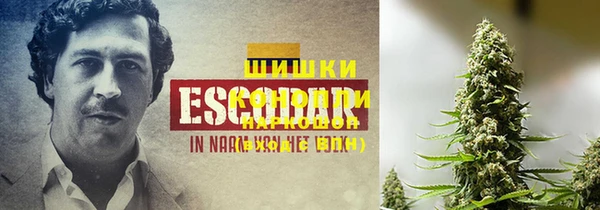 соль ск Бронницы
