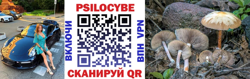 Псилоцибиновые грибы Cubensis  Купить закладки  Морозовск 